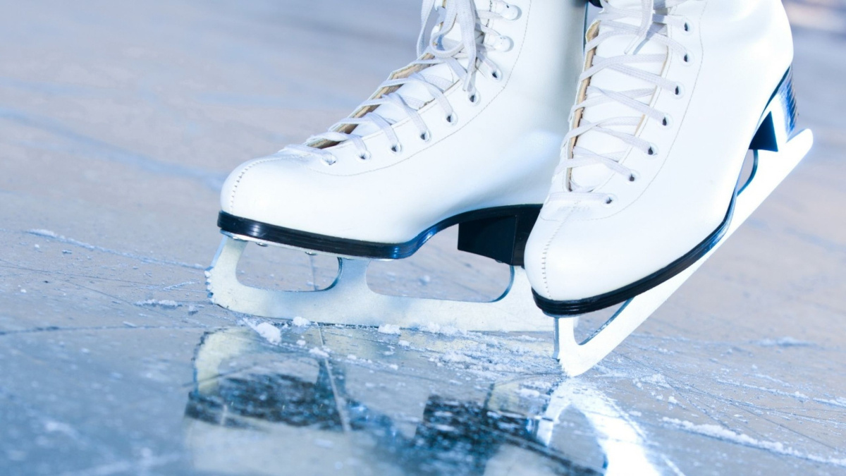 ����� �������� � ���� ��������� �������� �������� � ����� �����������