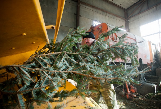 ��������� ���������� ��������� ���� ���������� ���� �� ������������