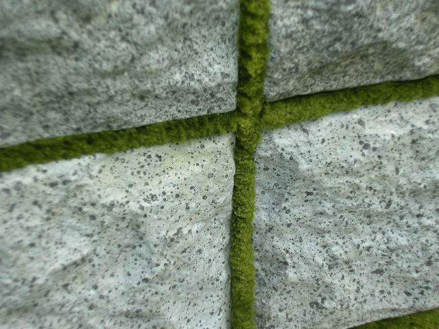 ���� ������ ������� ������������� �����