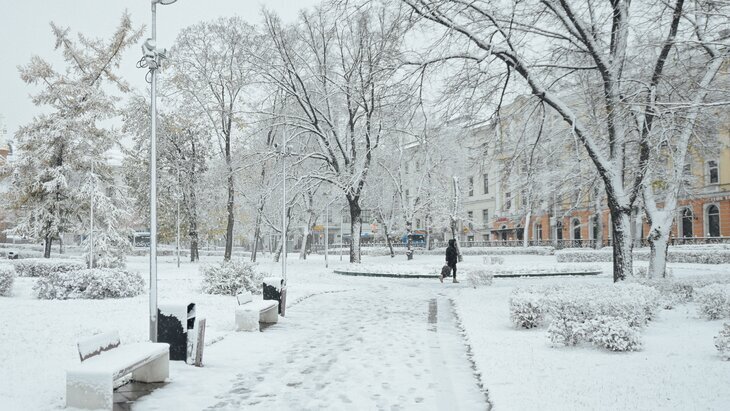 12 � 13 ������ � ������ ��������� ��������� �����������