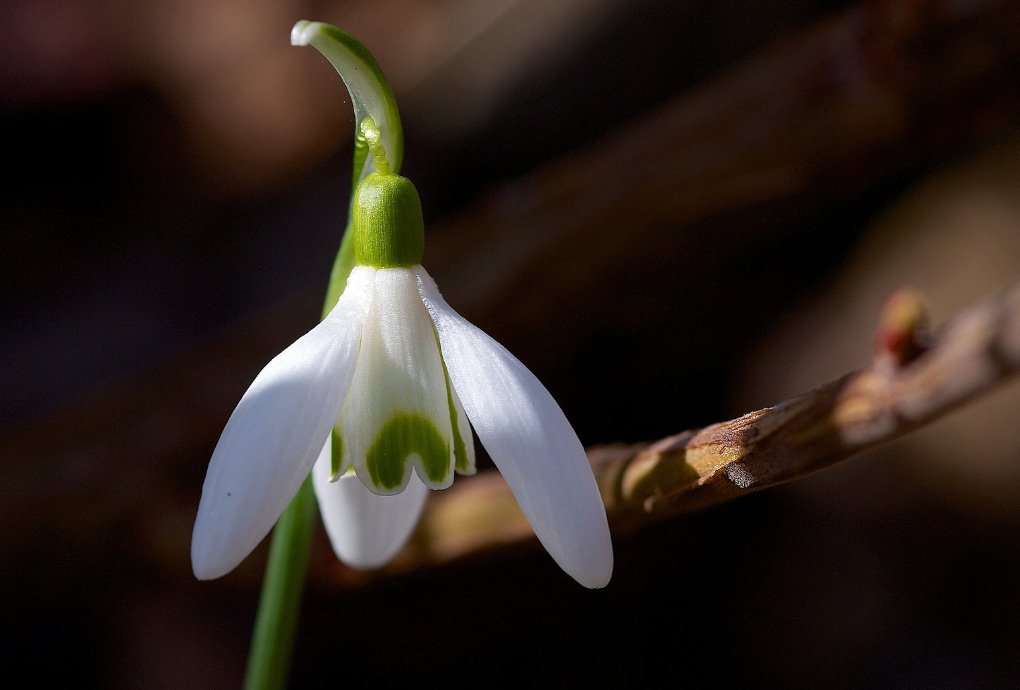 � ������������ ��������� ������� ������ ����������