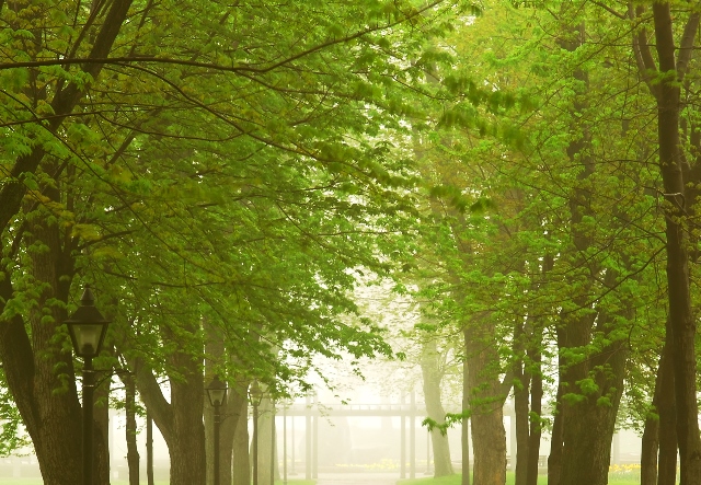 �� ������������ ����� �������� ����� �������� ����