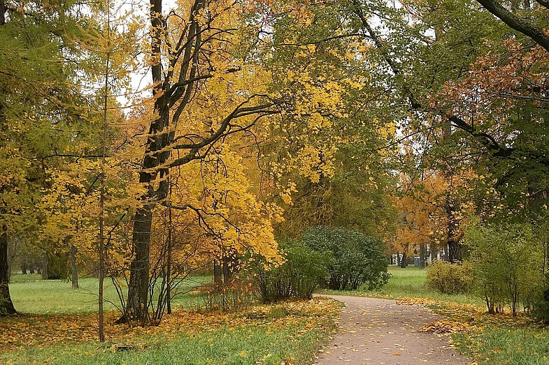 ����� 170 ����� ��������� ���������� ������� ����������� "��� ������� ����" � "������ ������"