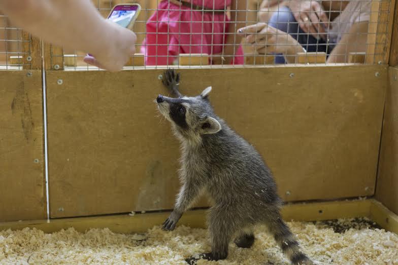 "������� �� ������" - ���������� ����������� �������� � ��� ���������� � ������ �����������