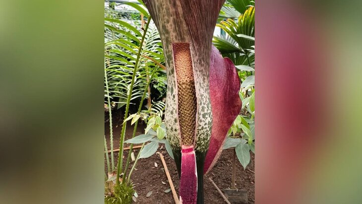 � "����������� �������" ��������� "������� ������"