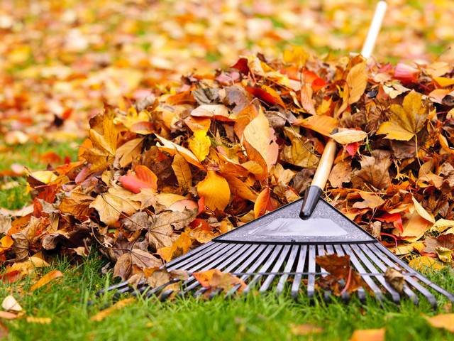 ������������� � ������� "��" ������ �������� ������� ������ ������ � ����� ������