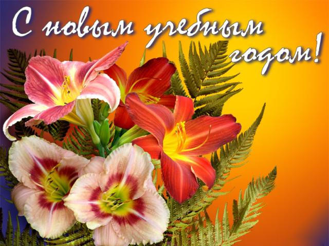 ������ ���������������� ������ ���������� ���������� � ������� �������� ����