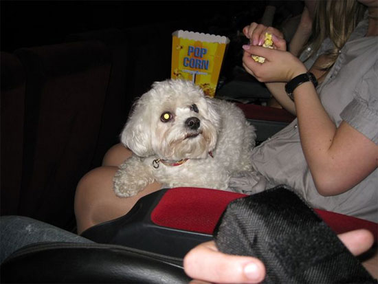 ��������� ����� ��������� ����� � ���������� ����� ��������