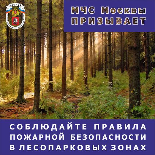 ������ ����� - ������ ����� � �������. ���������� ������� ������������ � ����