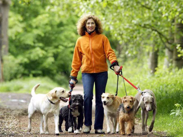 ��� ������� ����� ������ ����������� �� ���������� �������� �������� � ��������