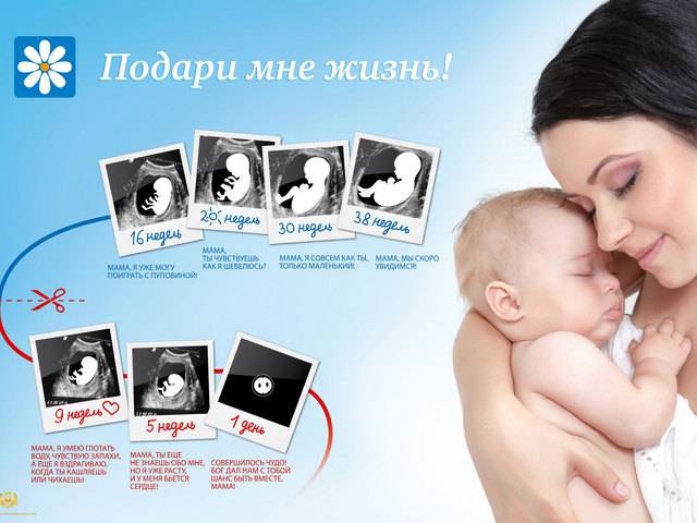 ������� ������������ � 2 ���������������� ������ �������� ������ � ������ ����� "������ ��� �����!"