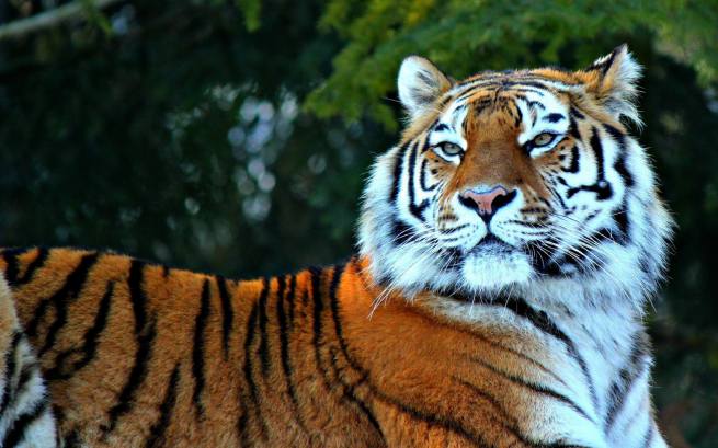 �� ���������� ����� ����� ����� ���������� ������ � ��������� �������