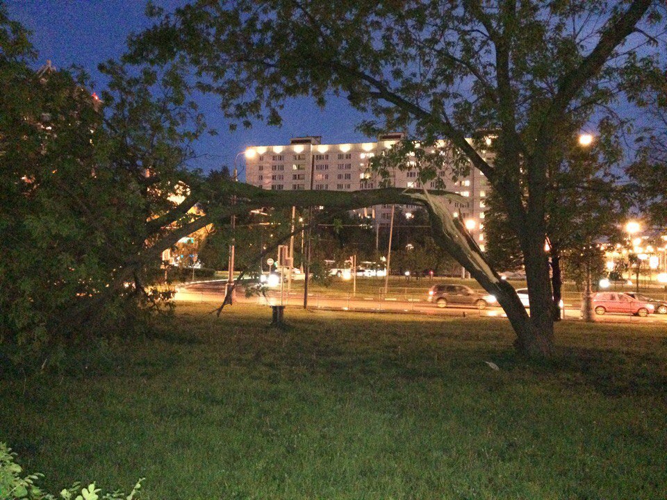 ������ �������� �� ���������� �������� ������ ������������ ���������