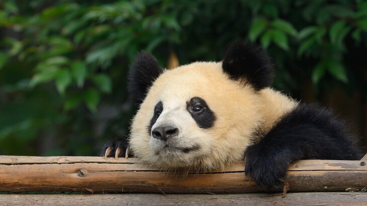 ������ ��������� ��� ���� ��-�� ��������� ��������� � ������