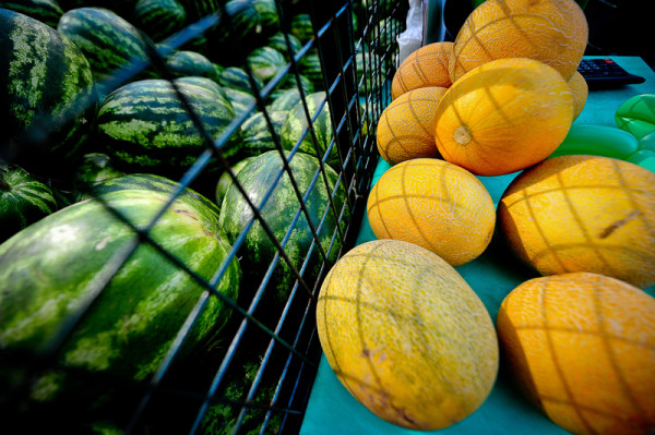 ���������� ����� ������ ����... �����