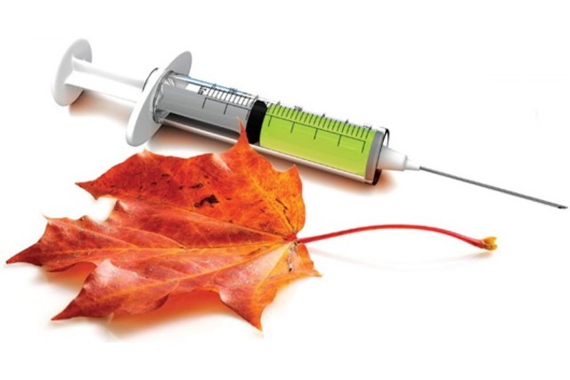 ���������� ����� ������ ���� � ���������� ��� ������ �������� � ����� �������