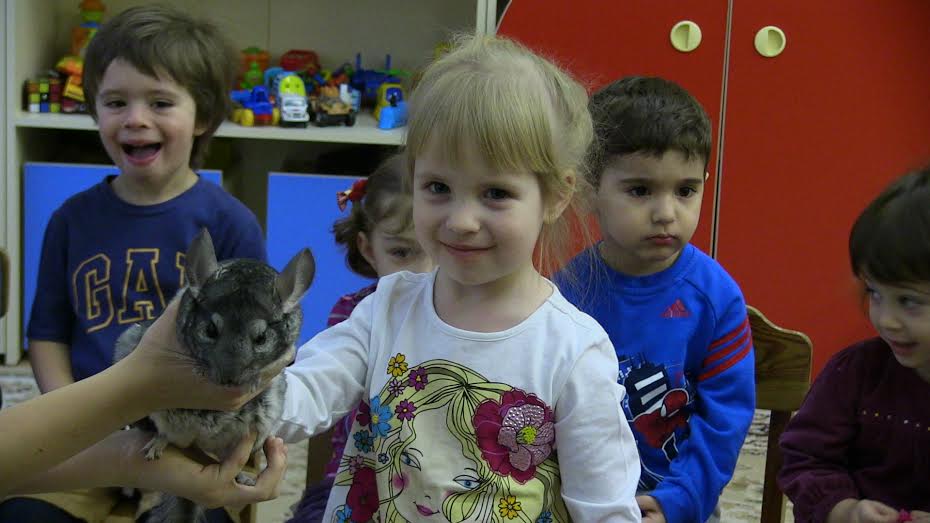 � ����� � ��������������� ���������� ������ ������, �����, �������, ������� ������ � ��������