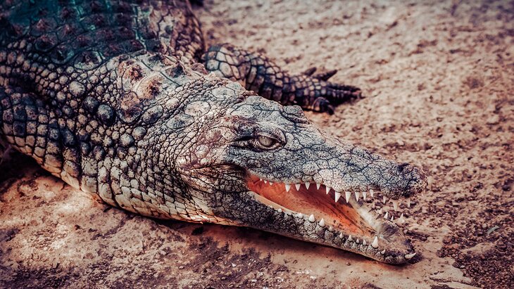 � ������ ������� ������� � ���� � �����������, �������� �� ����������� ������ � ���