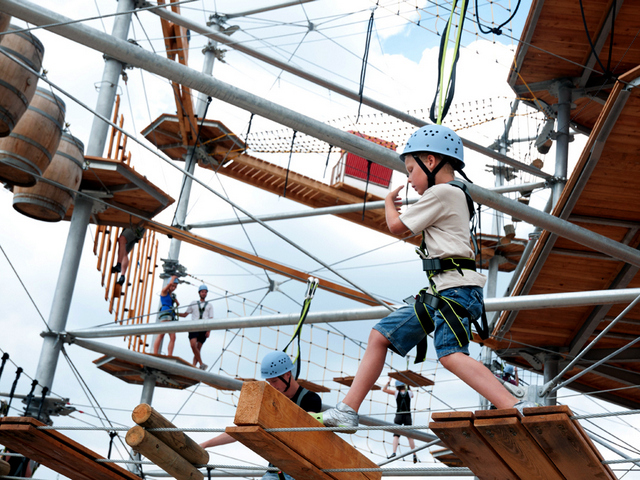 ������ �� ���������������� ������ �������� "�������"