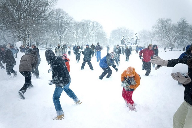 ������ ������������� �������� ������������ �������� ���� �� �����