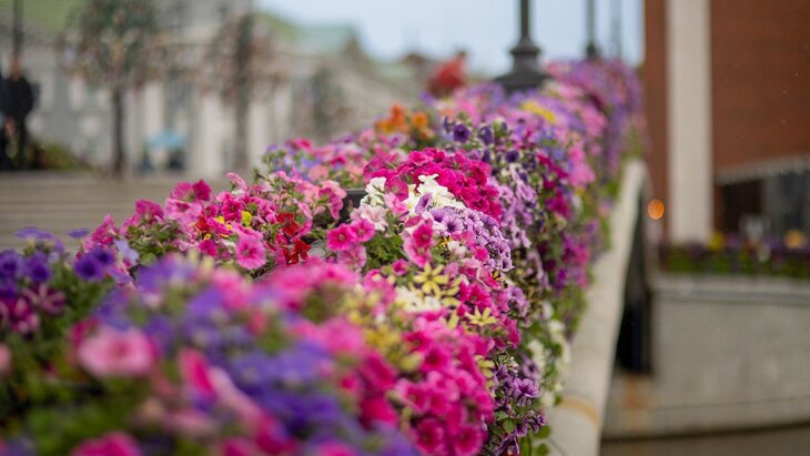 ����������� ���� ��������� "���� � �����" ������� ����� 70 �������� �������