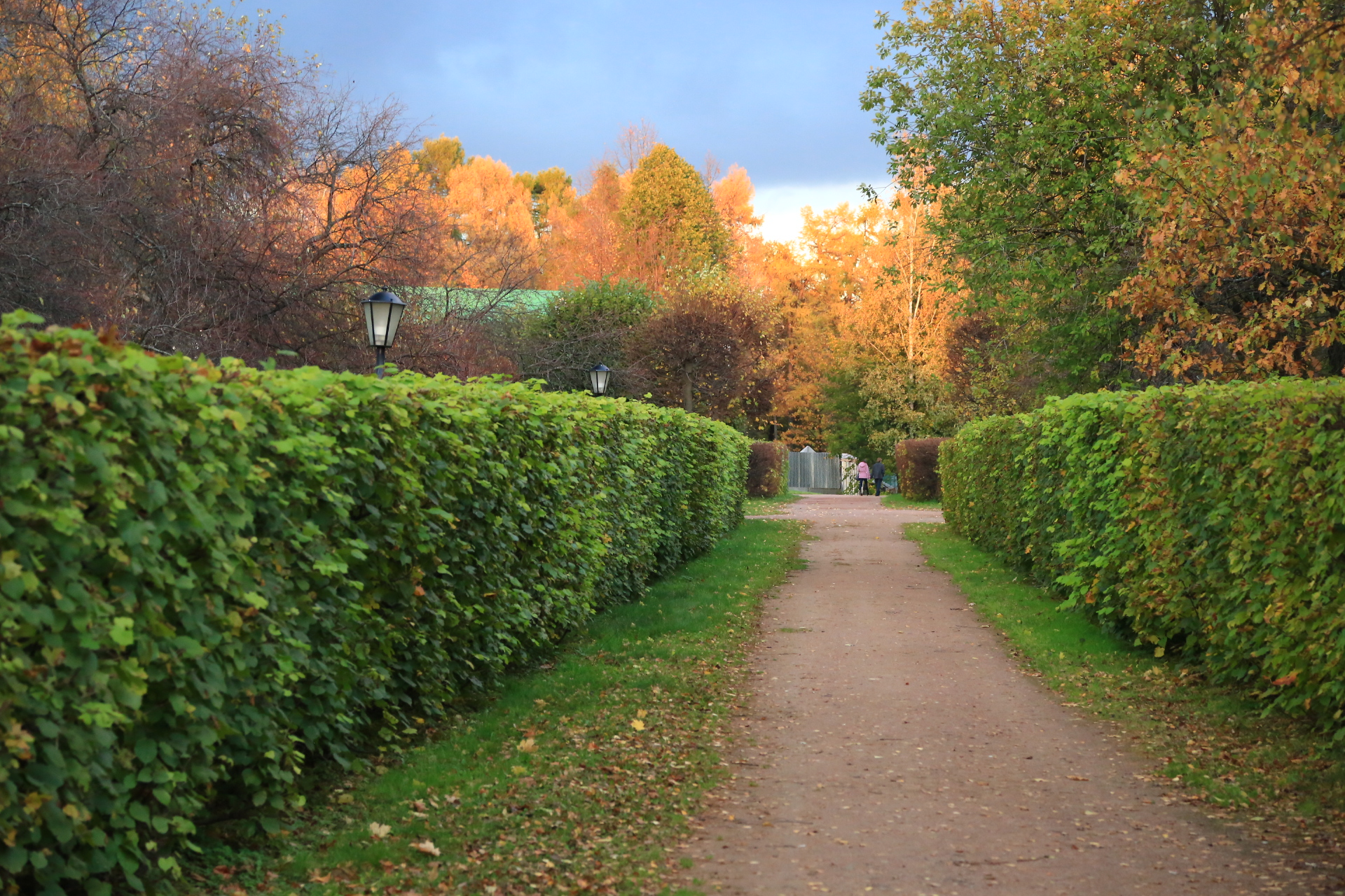 ���� ����� ������� �� �������� ����������� ����� ��������  