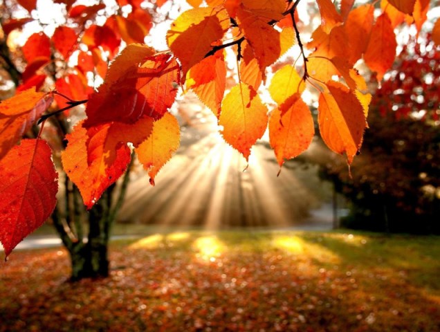 ������ �������� � ������ �� ���� ��� ����� 18 ��������