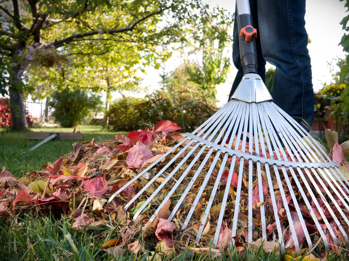 �������� ������������ �� ������������� ����������