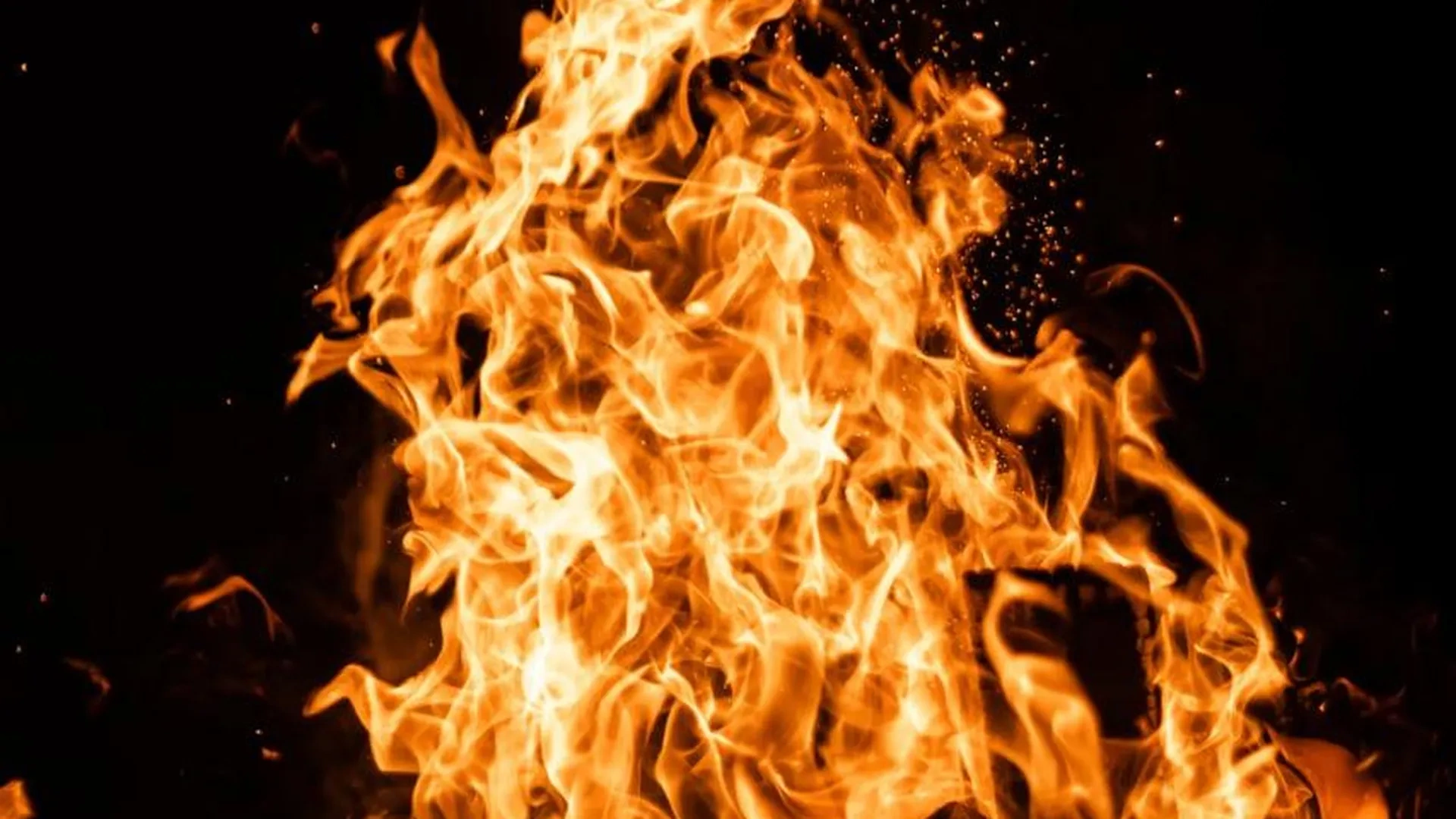 ����� ����� ������ �� ������ � ����� ���� �� ������� ������