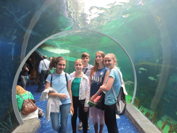 ��������� ���������� ���� ������� ��� ���� ��������� ���������� ������