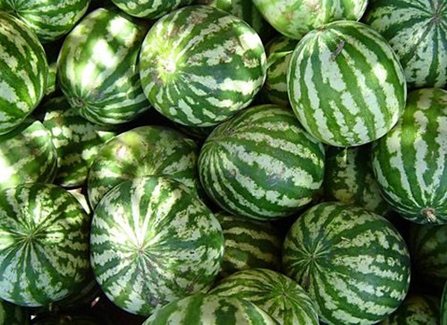 �������� ������ ��������� �� ������ ����� ��� ����������