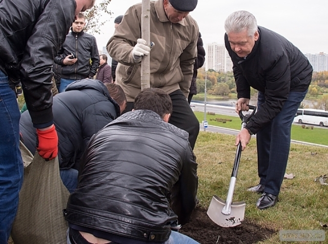 �������: ��������������� ���������� ����� �������� ������� ����� 300 ��� ���������