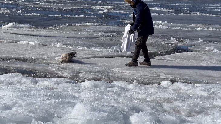 ���������� ������� ������ ������ � ������������� �������