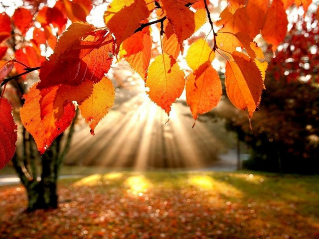 ����� �������� �������� ������� �� ������ ��������