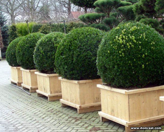 � "�������� ����������" ������� �����, ����������� ������������� ����������