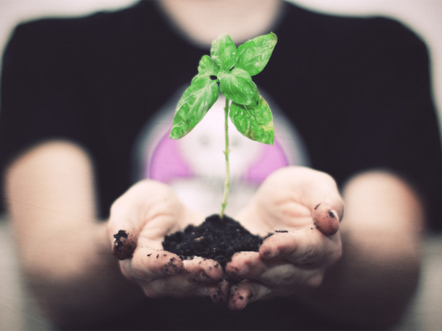 ����� �������� �������� ����������� � ������ � 2016 ����