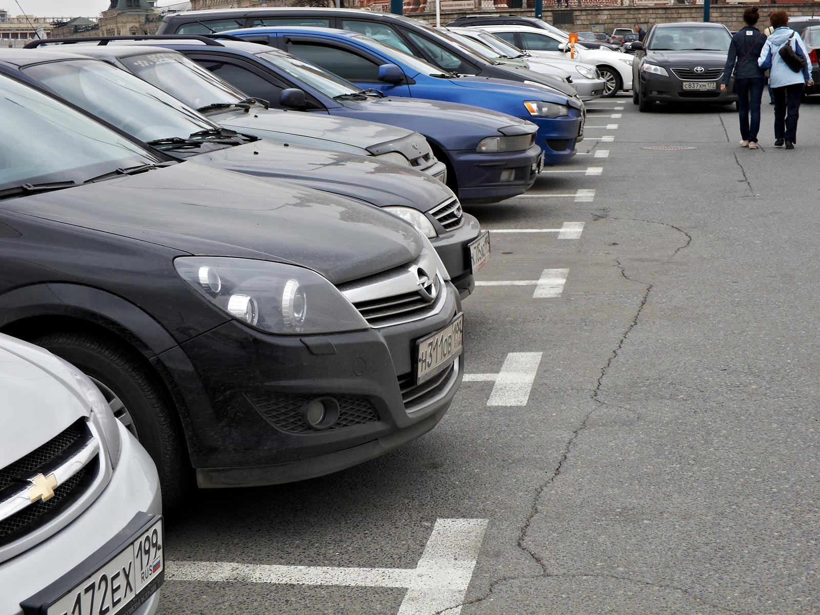 12 � 14 ���� ��������� �������� ��������� ��������������