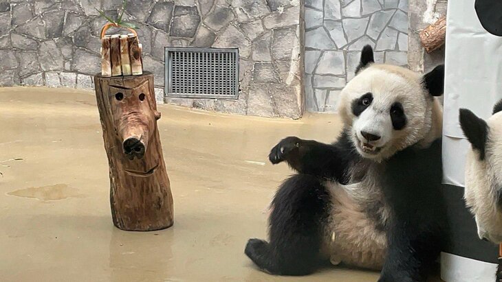 ����� ������ �� ����������� �������� �������� ����� � ������� �� ���� ����