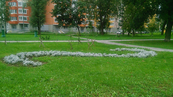 "��" ���������� ��������� ������ ������ "���������" ������ �� ��������������� ��������