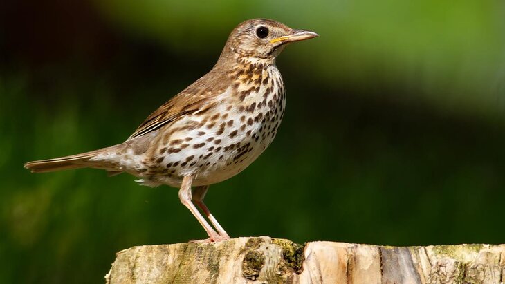 ��������� �������� �� �������� ������ ���� ����� �������������