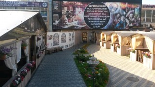 Четыре летних кафе работают в Бескудниковском районе при стационарных предприятиях общественного питания