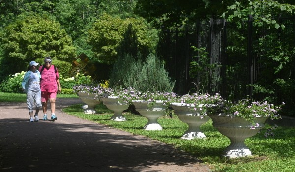 �������-������� � ������������ �������� � ����� ���������������� ������ ��� ���� � �������������