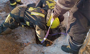 Спасатели вызволили собаку, застрявшую под бетонной плитой на востоке столицы