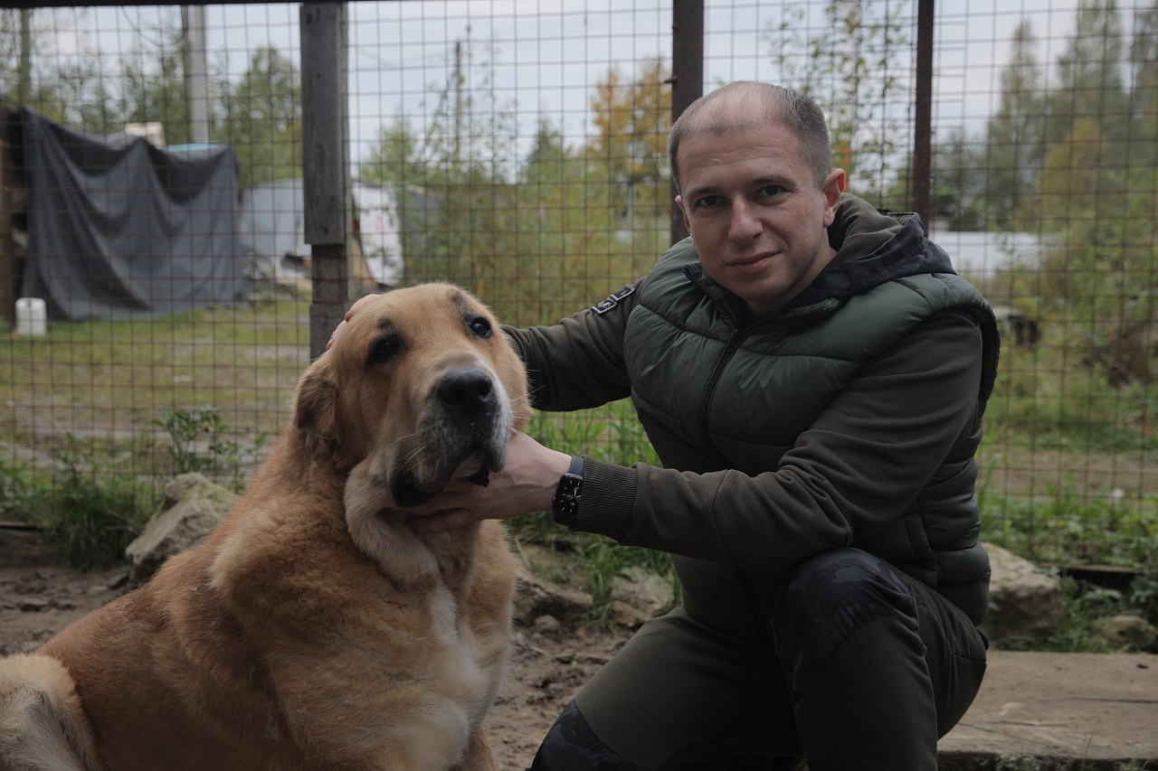 Депутат Госдумы: «На смену стихийным приютам должны прийти современные цивилизованные формы содержания животных»